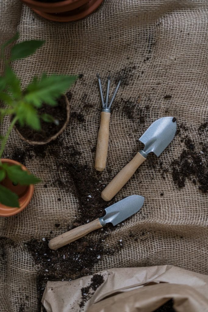 des outils en vue de l'installation d'une forêt Miyawaki